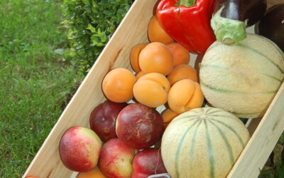 Le marché est transféré au village de St Didier
